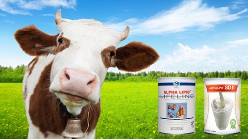 Sữa non Alpha Lipid Life line giá rẻ nhất 12
