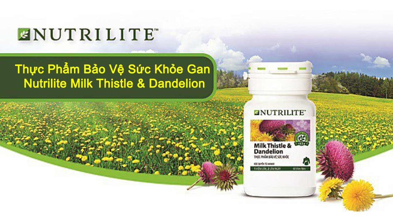 Thực Phẩm Bảo Vệ Sức Khỏe Nutrilite Milk Thistle & Dandelion bảo vệ gan của Amway
