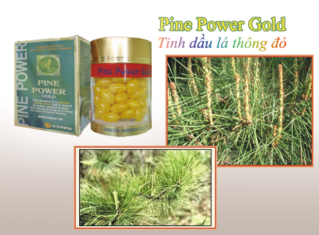 Tinh dầu thông đỏ pine power gold 2